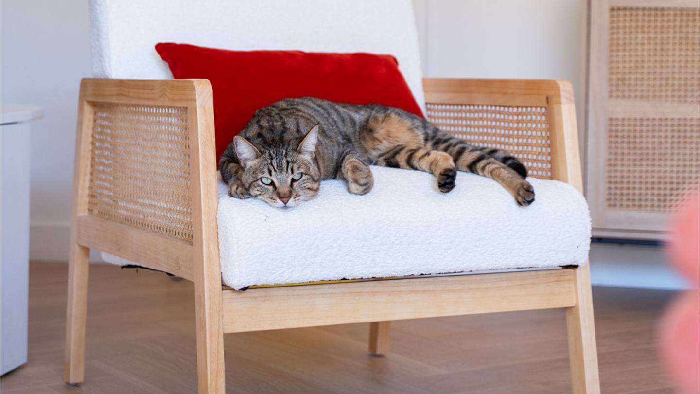 Fauteuil rotin et tissu bouclé écru - Mani