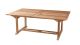 Table de jardin rectangulaire double extension en teck 200/300x120cm - Fun