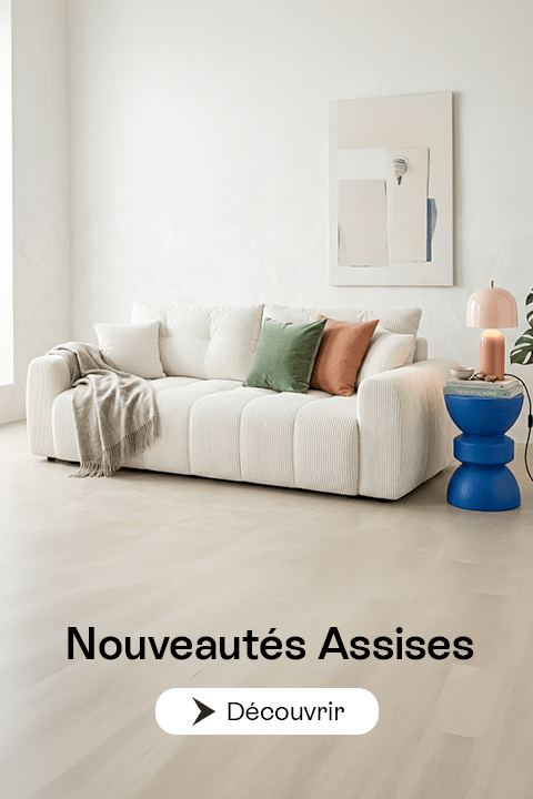 Assises