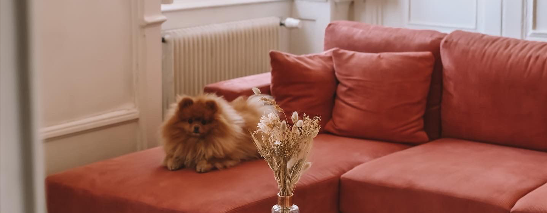 Les coups de coeur Les coups de coeur